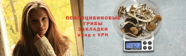 a pvp Новодвинск