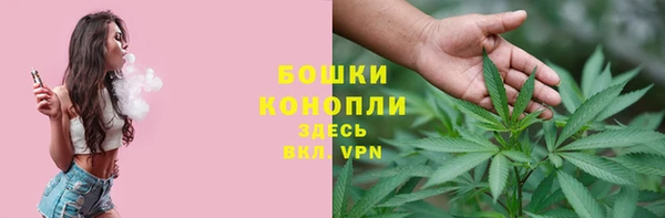 a pvp Новодвинск