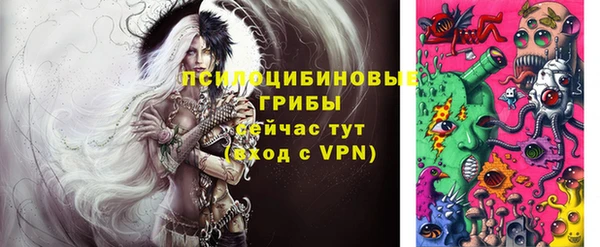 a pvp Новодвинск