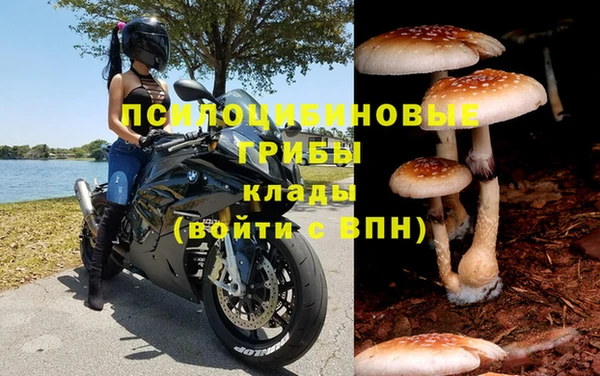 каннабис Новозыбков