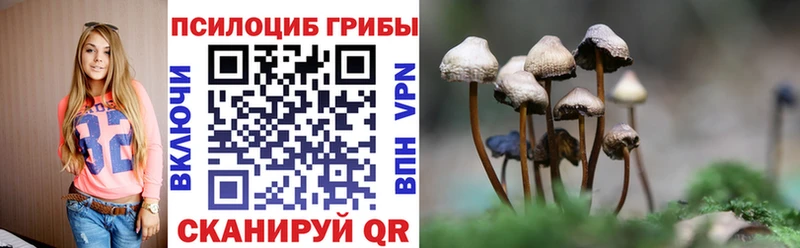 где продают наркотики  Приморск  ссылка на мегу сайт  Псилоцибиновые грибы Magic Shrooms 